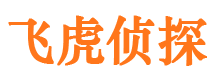 东洲市婚姻调查